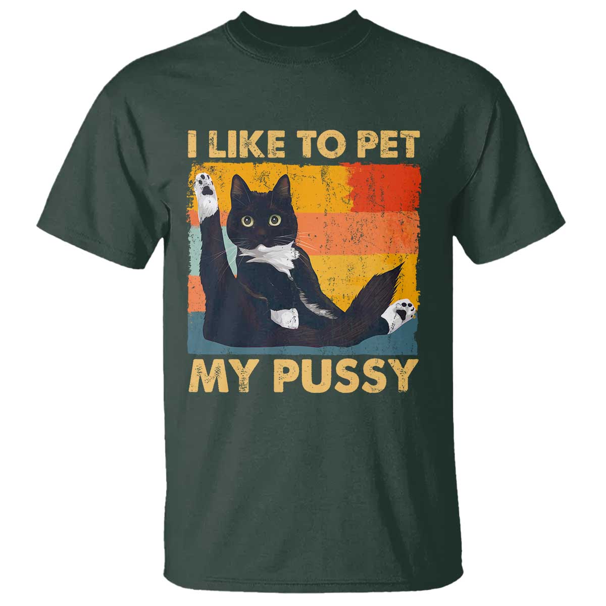 Funny Humor Saying Cat T Shirt I Like To Pet My Pussy Naughty Vintage - Wonder Print Shop