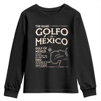 Gulf Of Mexico Youth Sweatshirt 1672 Historic Map Coast Mexico Lover