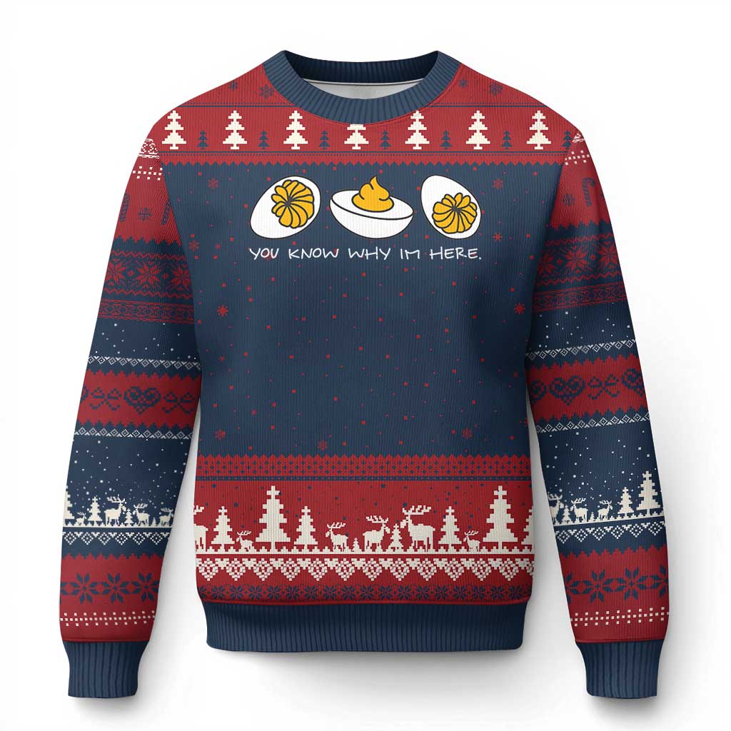 Funny Easter Ugly Christmas Sweater You Know Why Im Here - Wonder Print Shop