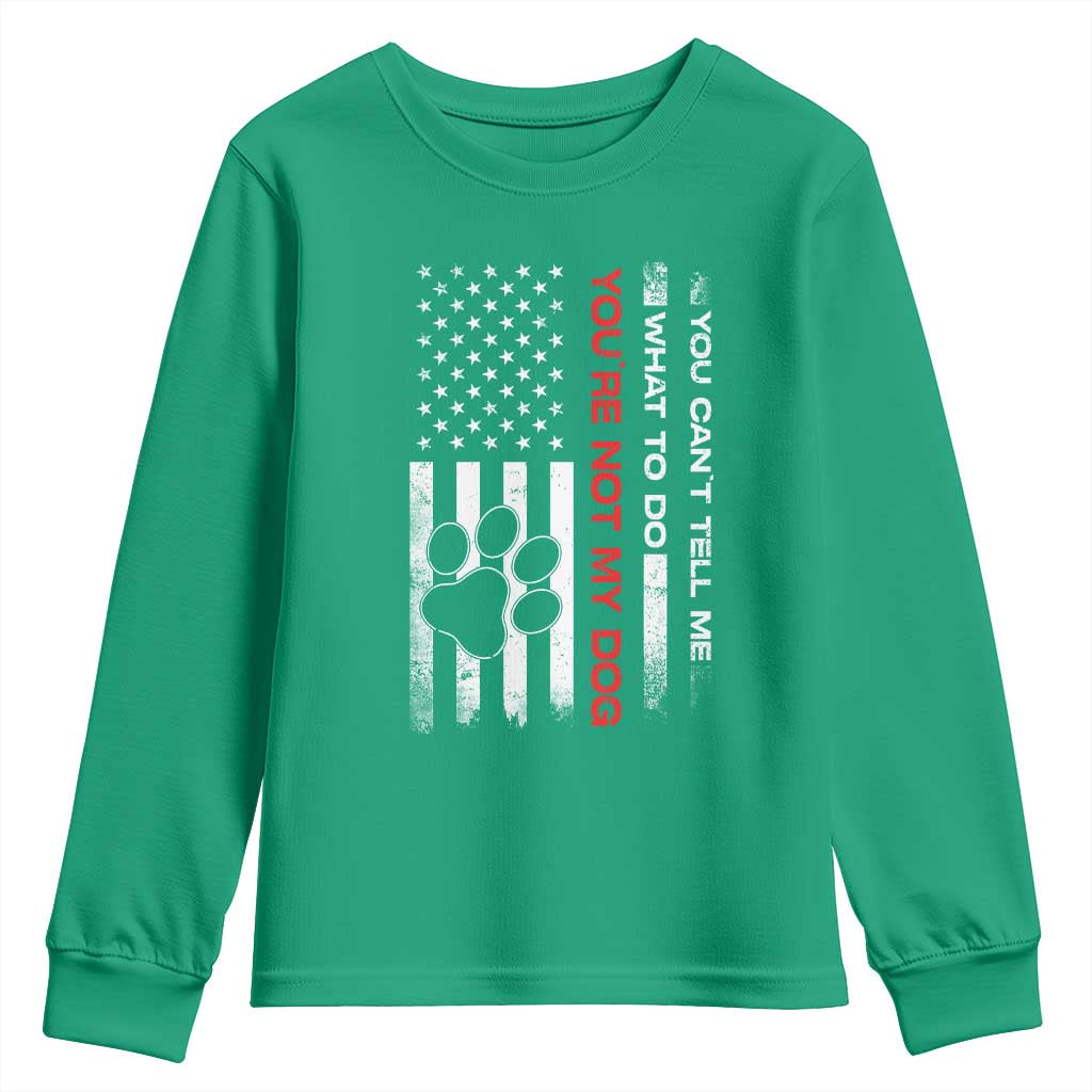 Funny Dog Lovers Youth Sweatshirt You Cant Tell Me What To Do Youre Not My Dog USA Flag