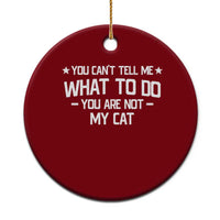 Funny Cat Lovers Ceramic Ornament You Cant Tell Me What To Do You Are Not My Cat