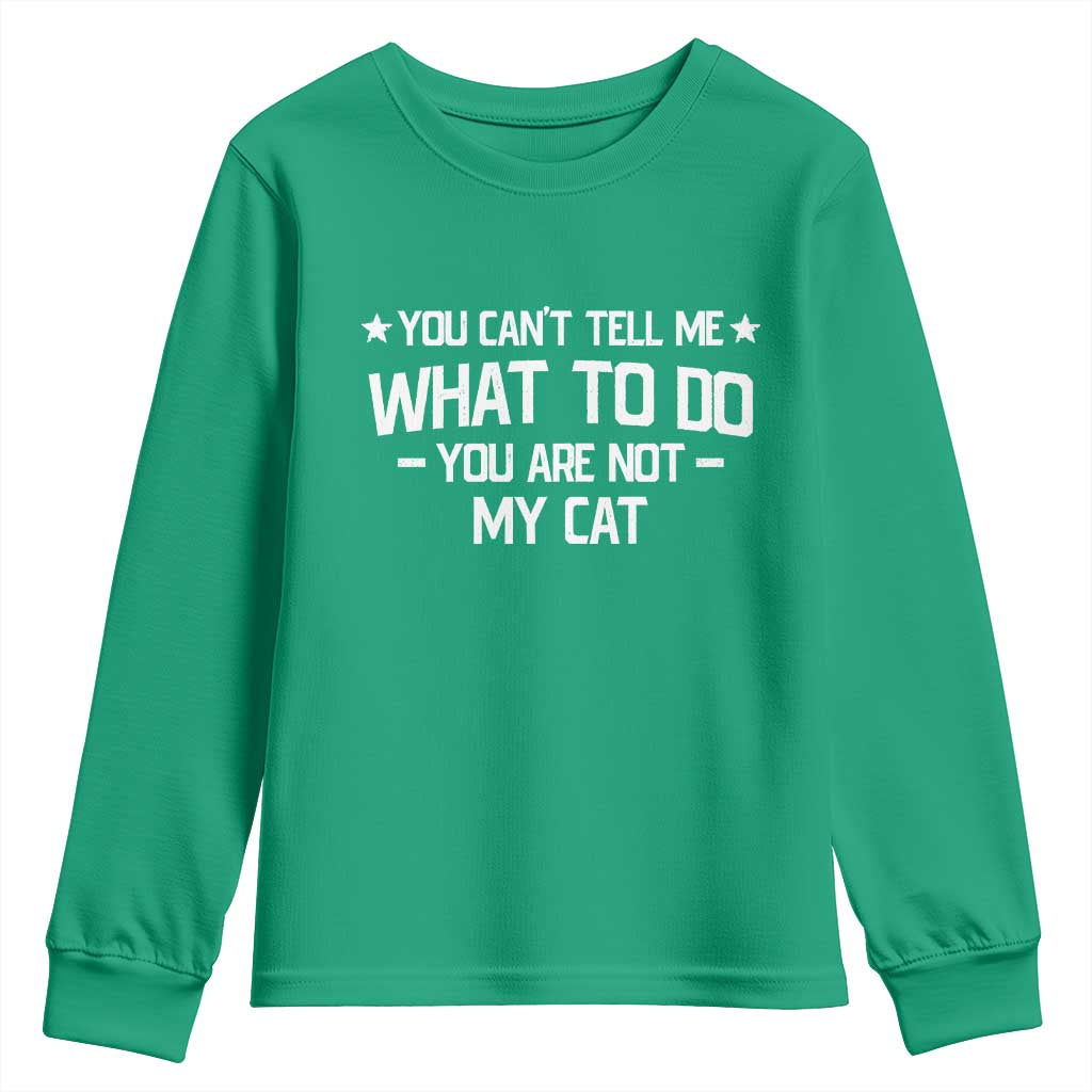 Funny Cat Lovers Youth Sweatshirt You Cant Tell Me What To Do You Are Not My Cat