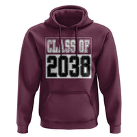 Class of 2038 Hoodie Grow With Me To Graduation - Wonder Print Shop