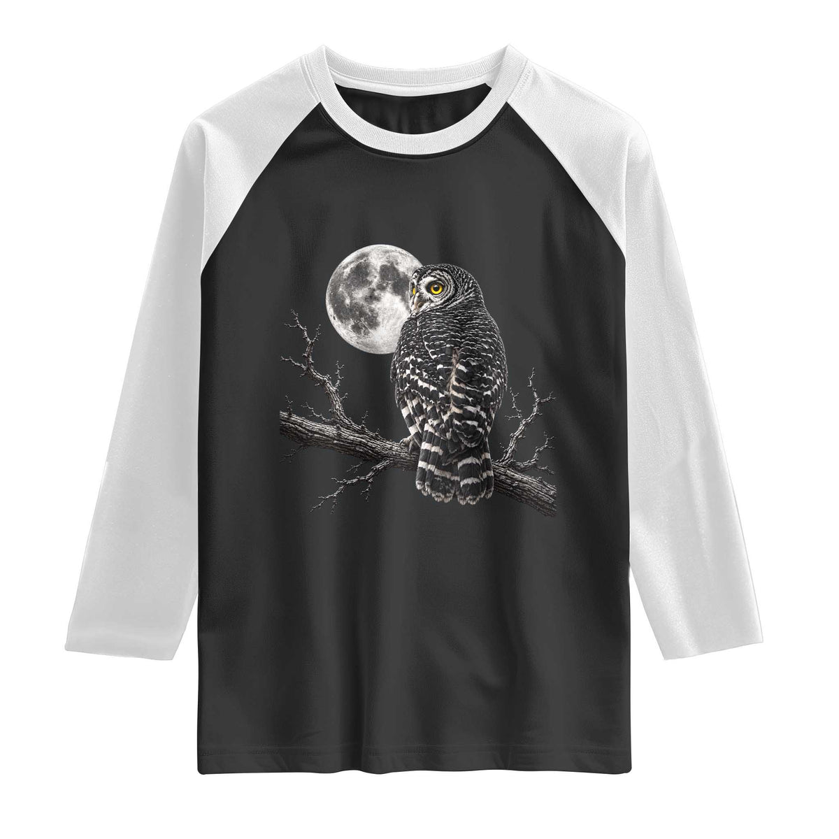Owl Full Moon Graphic Raglan Shirt Vintage Dark Academia Bird