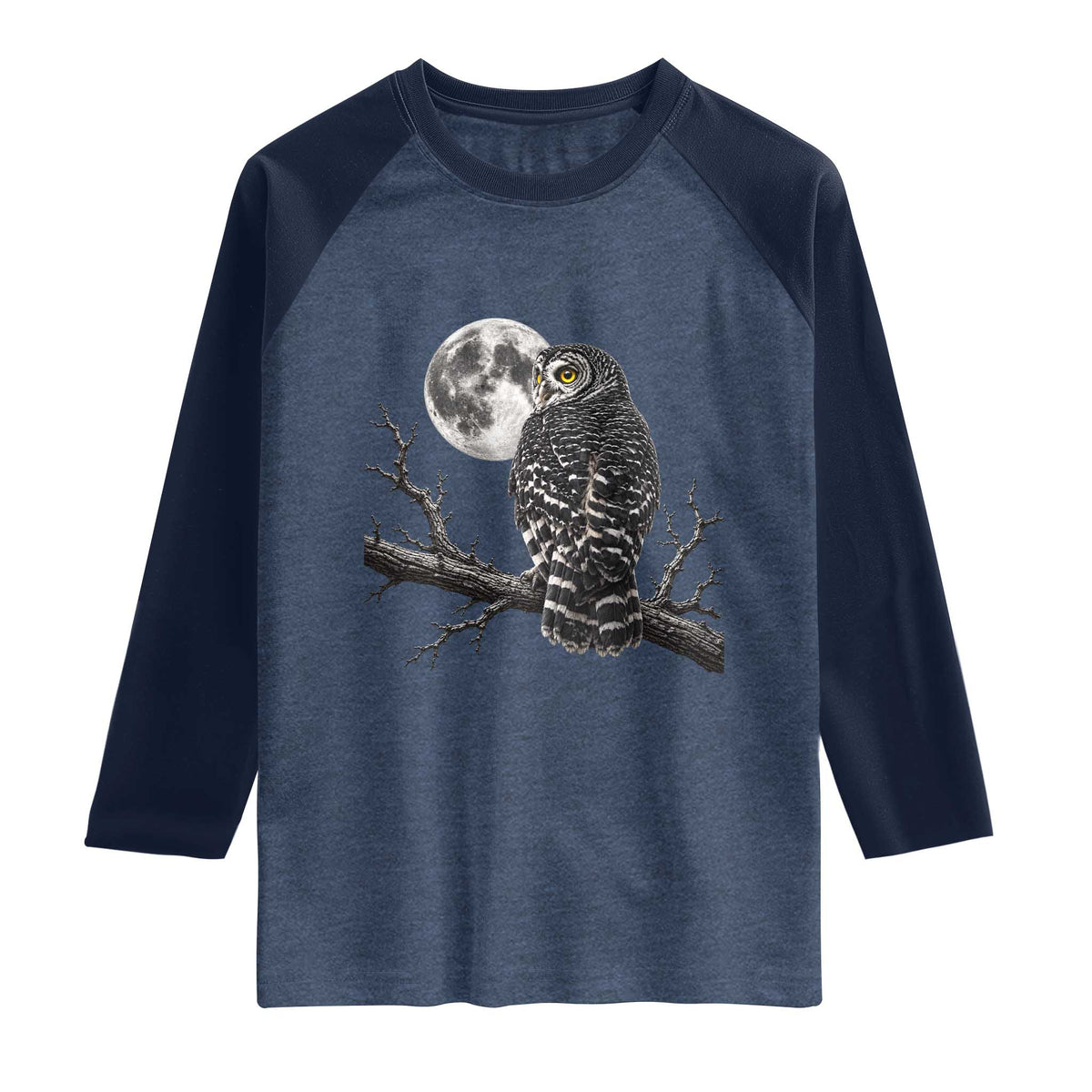 Owl Full Moon Graphic Raglan Shirt Vintage Dark Academia Bird