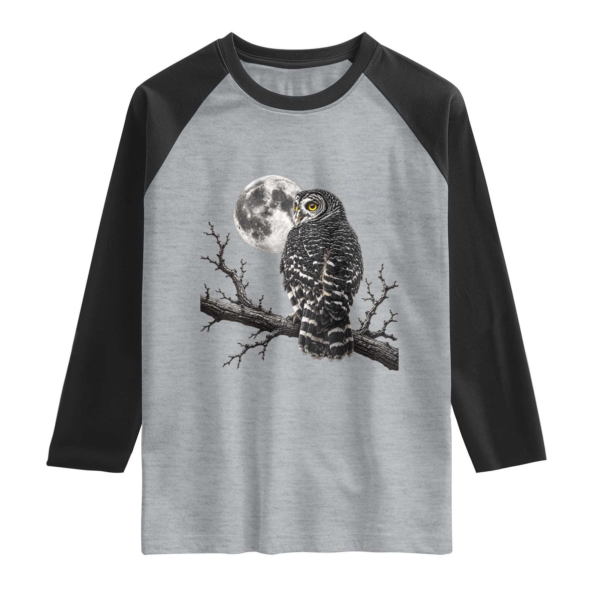 Owl Full Moon Graphic Raglan Shirt Vintage Dark Academia Bird