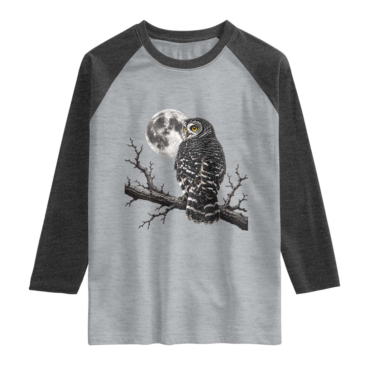Owl Full Moon Graphic Raglan Shirt Vintage Dark Academia Bird