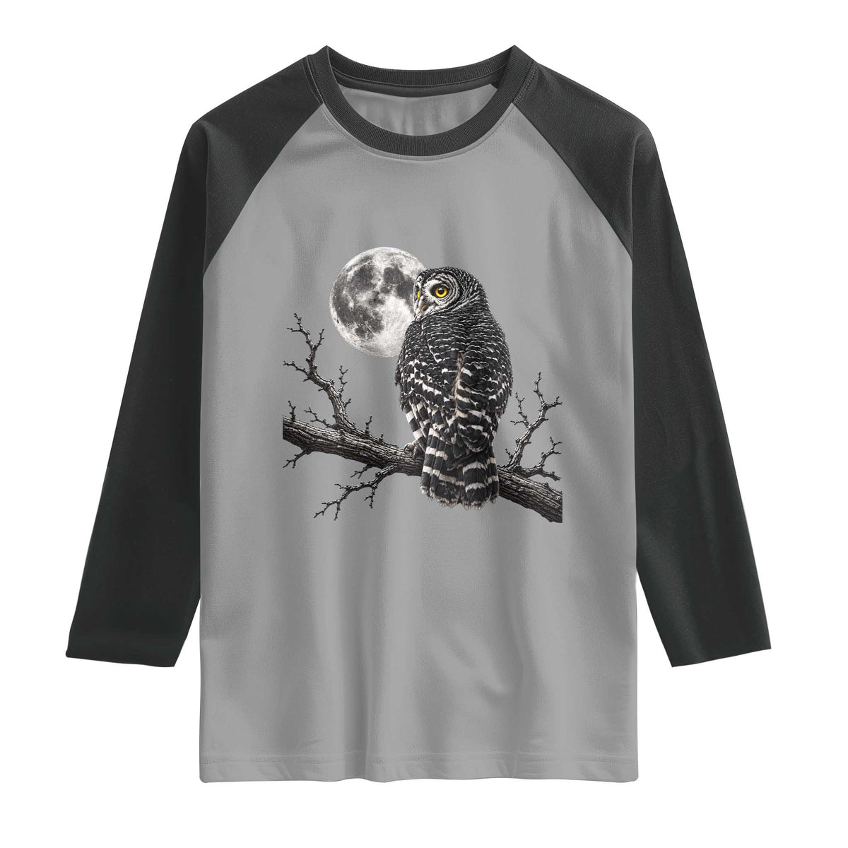 Owl Full Moon Graphic Raglan Shirt Vintage Dark Academia Bird