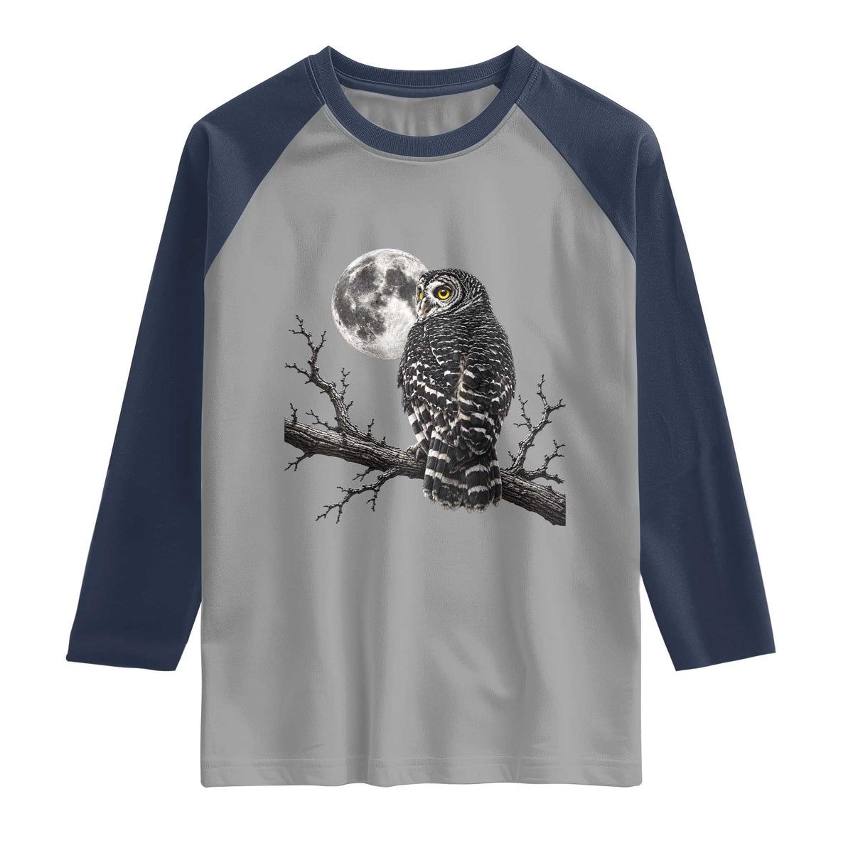Owl Full Moon Graphic Raglan Shirt Vintage Dark Academia Bird