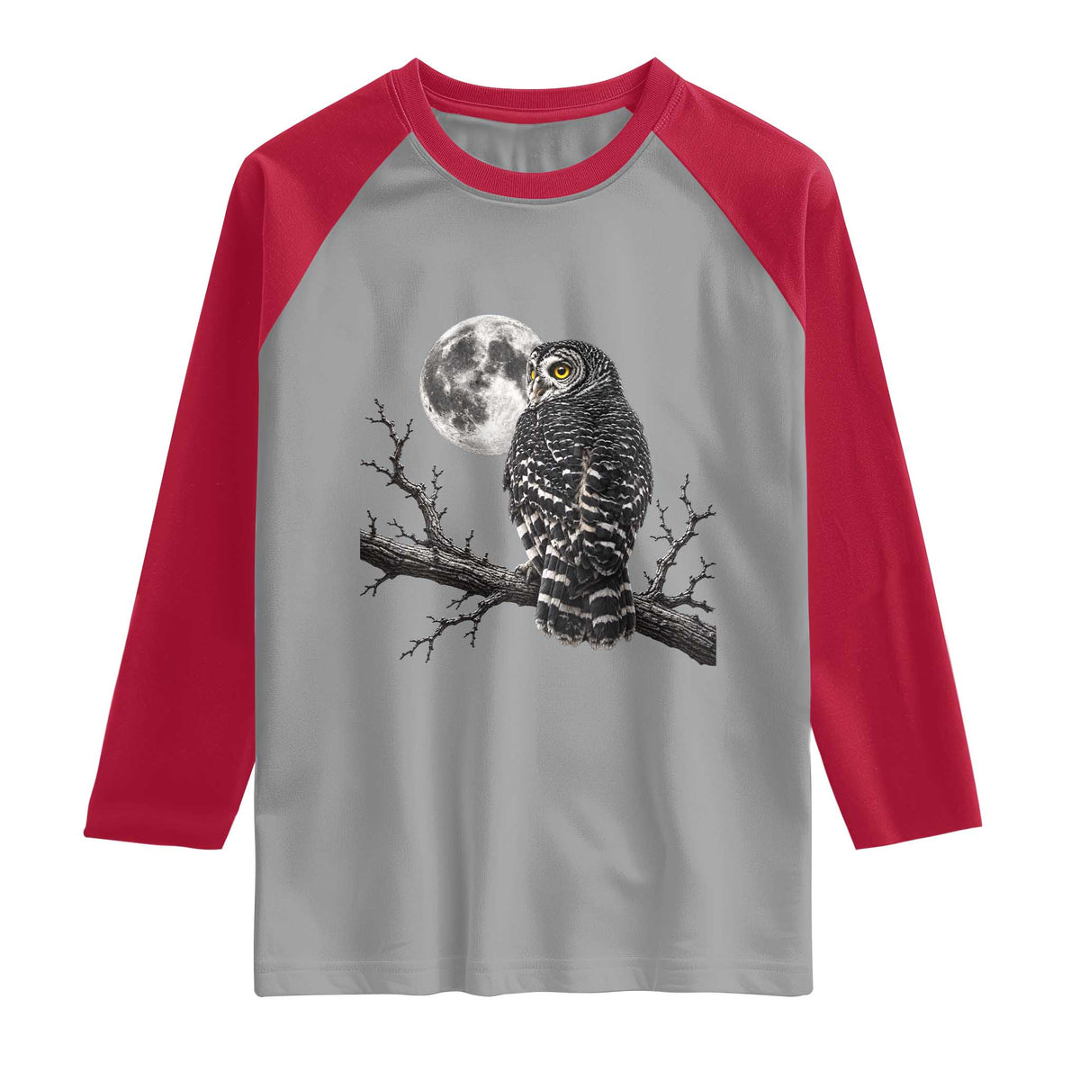 Owl Full Moon Graphic Raglan Shirt Vintage Dark Academia Bird