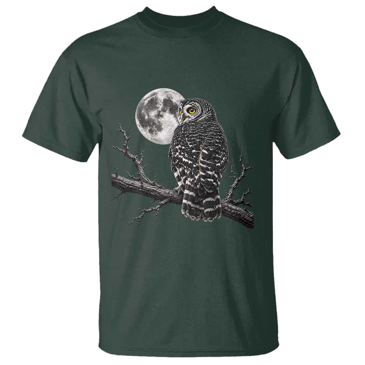 Owl Full Moon Graphic T Shirt Vintage Dark Academia Bird