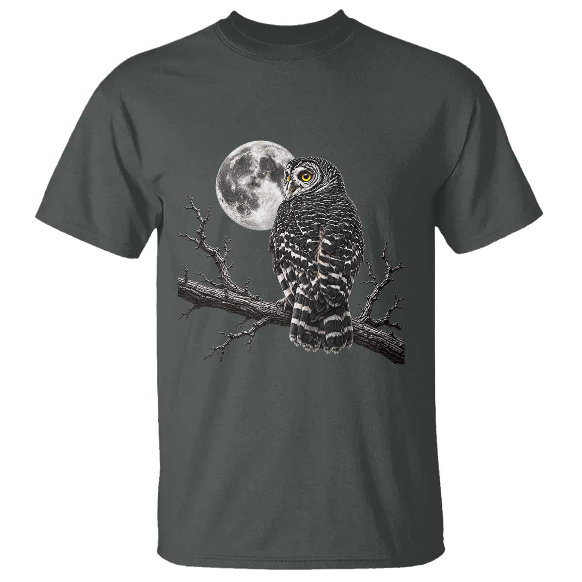 Owl Full Moon Graphic T Shirt Vintage Dark Academia Bird