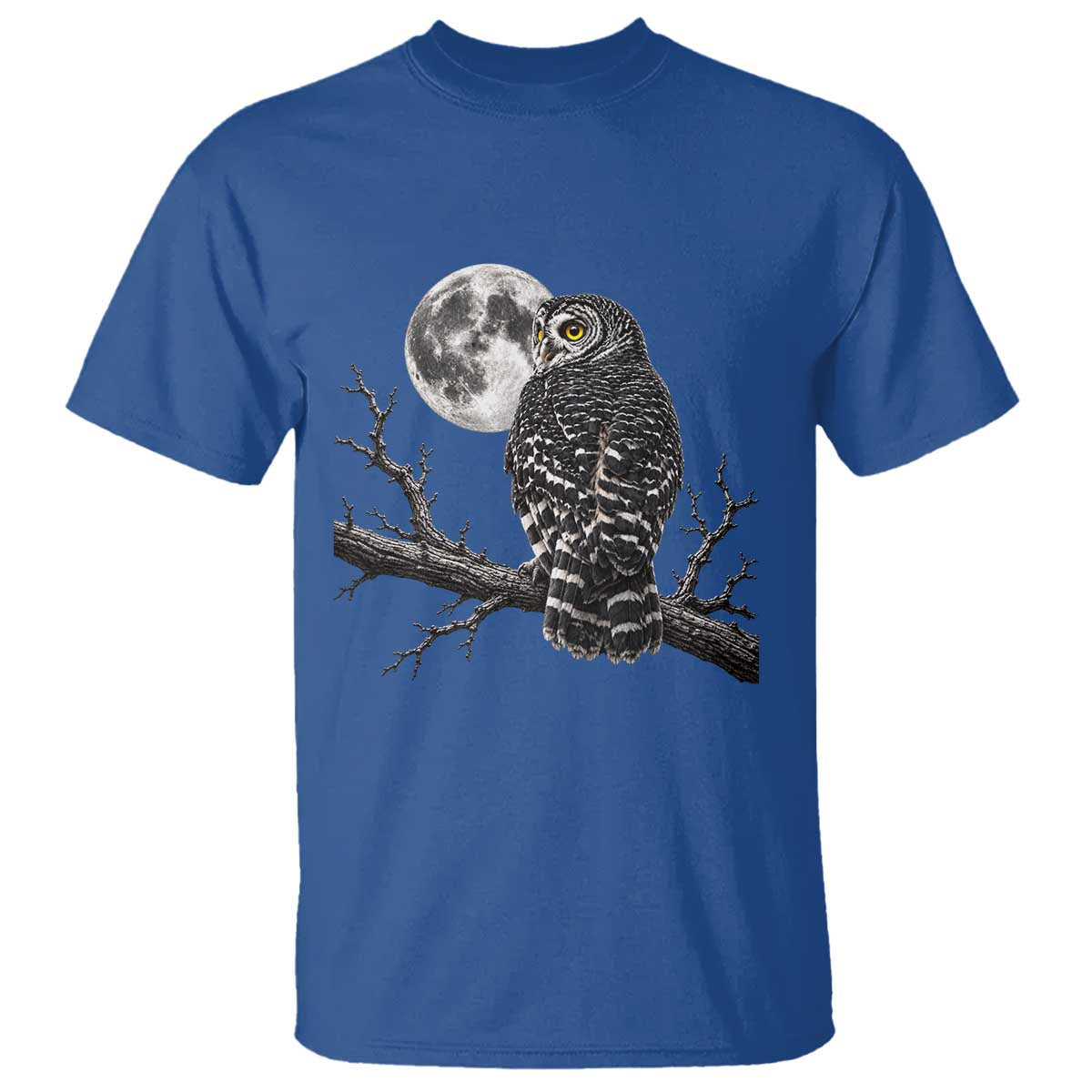 Owl Full Moon Graphic T Shirt Vintage Dark Academia Bird
