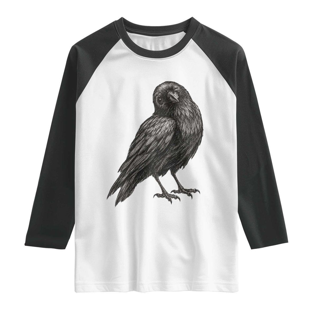 Winking Raven Crow Raglan Shirt Vintage Dark Academia Funny Bird Graphic