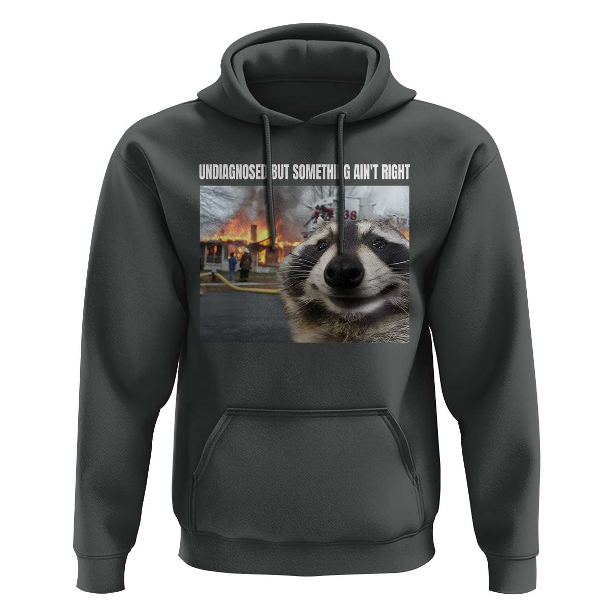 Raccoon Meme Hoodie Undiagnosed But Something Aint Right - Wonder Print Shop