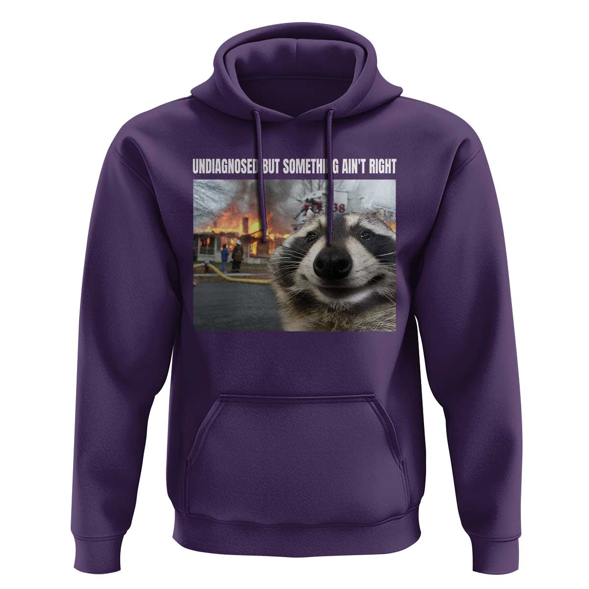 Raccoon Meme Hoodie Undiagnosed But Something Aint Right - Wonder Print Shop