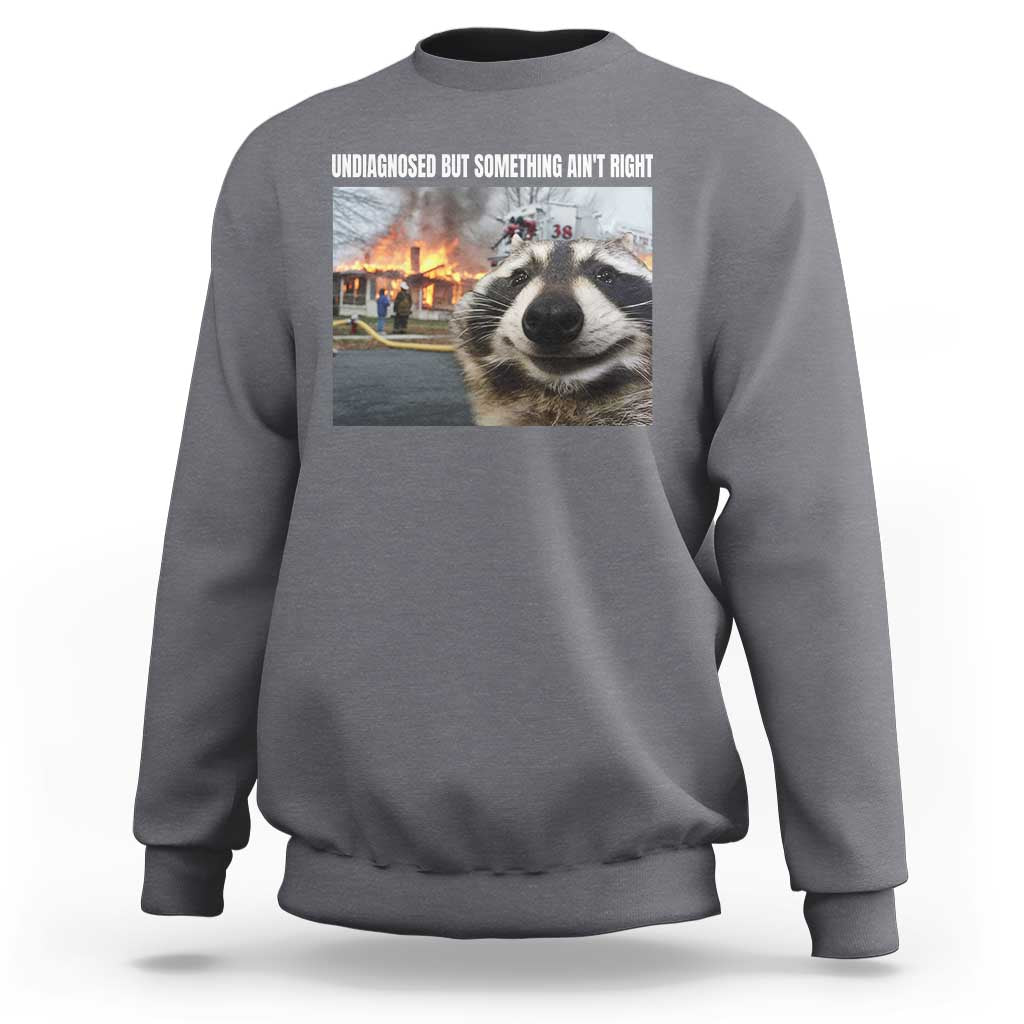 Raccoon Meme Sweatshirt Undiagnosed But Something Aint Right - Wonder Print Shop