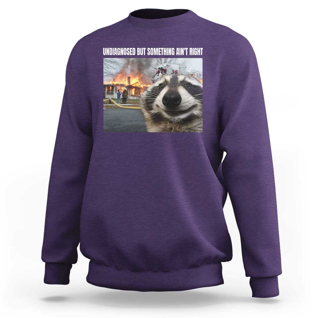 Raccoon Meme Sweatshirt Undiagnosed But Something Aint Right - Wonder Print Shop
