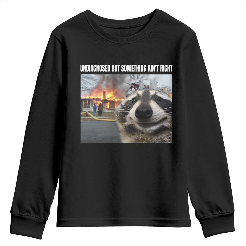 Raccoon Meme Youth Sweatshirt Undiagnosed But Something Aint Right - Wonder Print Shop