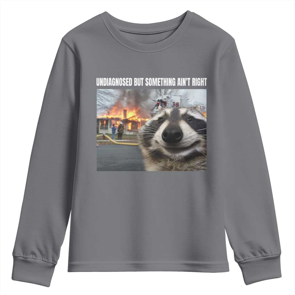 Raccoon Meme Youth Sweatshirt Undiagnosed But Something Aint Right - Wonder Print Shop
