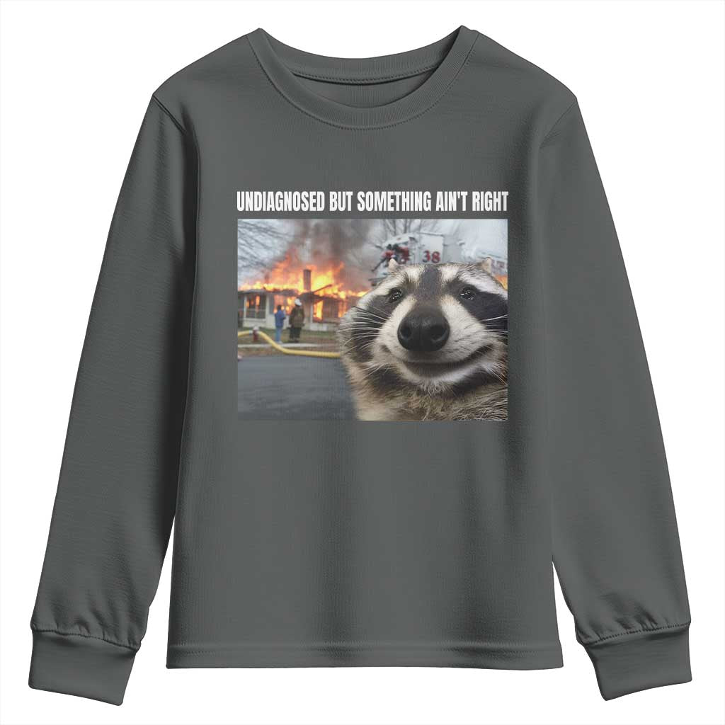 Raccoon Meme Youth Sweatshirt Undiagnosed But Something Aint Right - Wonder Print Shop
