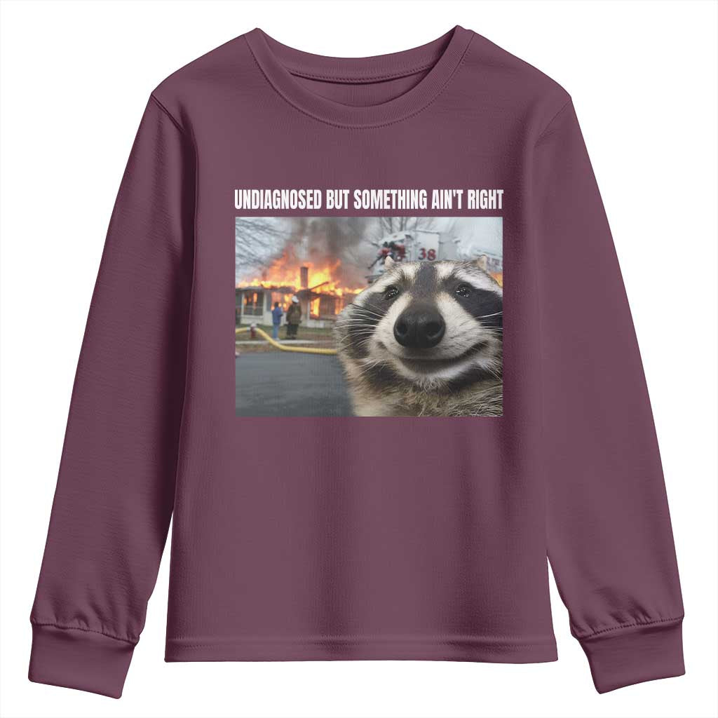 Raccoon Meme Youth Sweatshirt Undiagnosed But Something Aint Right - Wonder Print Shop