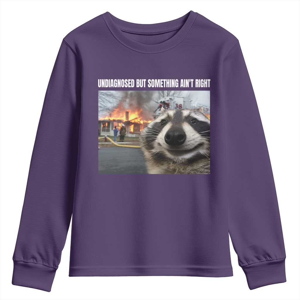 Raccoon Meme Youth Sweatshirt Undiagnosed But Something Aint Right - Wonder Print Shop