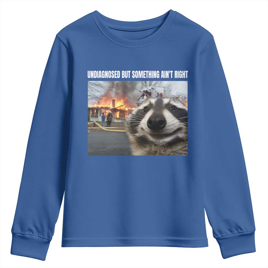 Raccoon Meme Youth Sweatshirt Undiagnosed But Something Aint Right - Wonder Print Shop