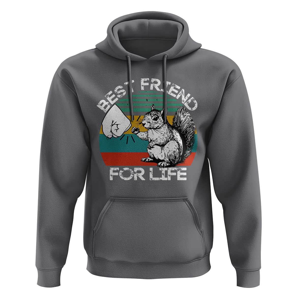 Squirrel Lover Hoodie Funny Vintage Squirrel Gift Best Friend For Life