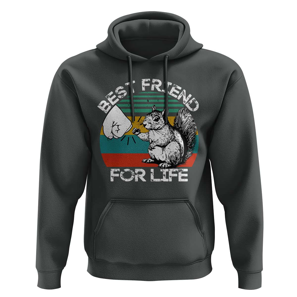 Squirrel Lover Hoodie Funny Vintage Squirrel Gift Best Friend For Life