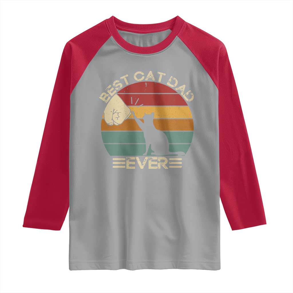 Best Cat Dad Ever Raglan Shirt Funny Cat Lover Gift Fathers Day - Wonder Print Shop
