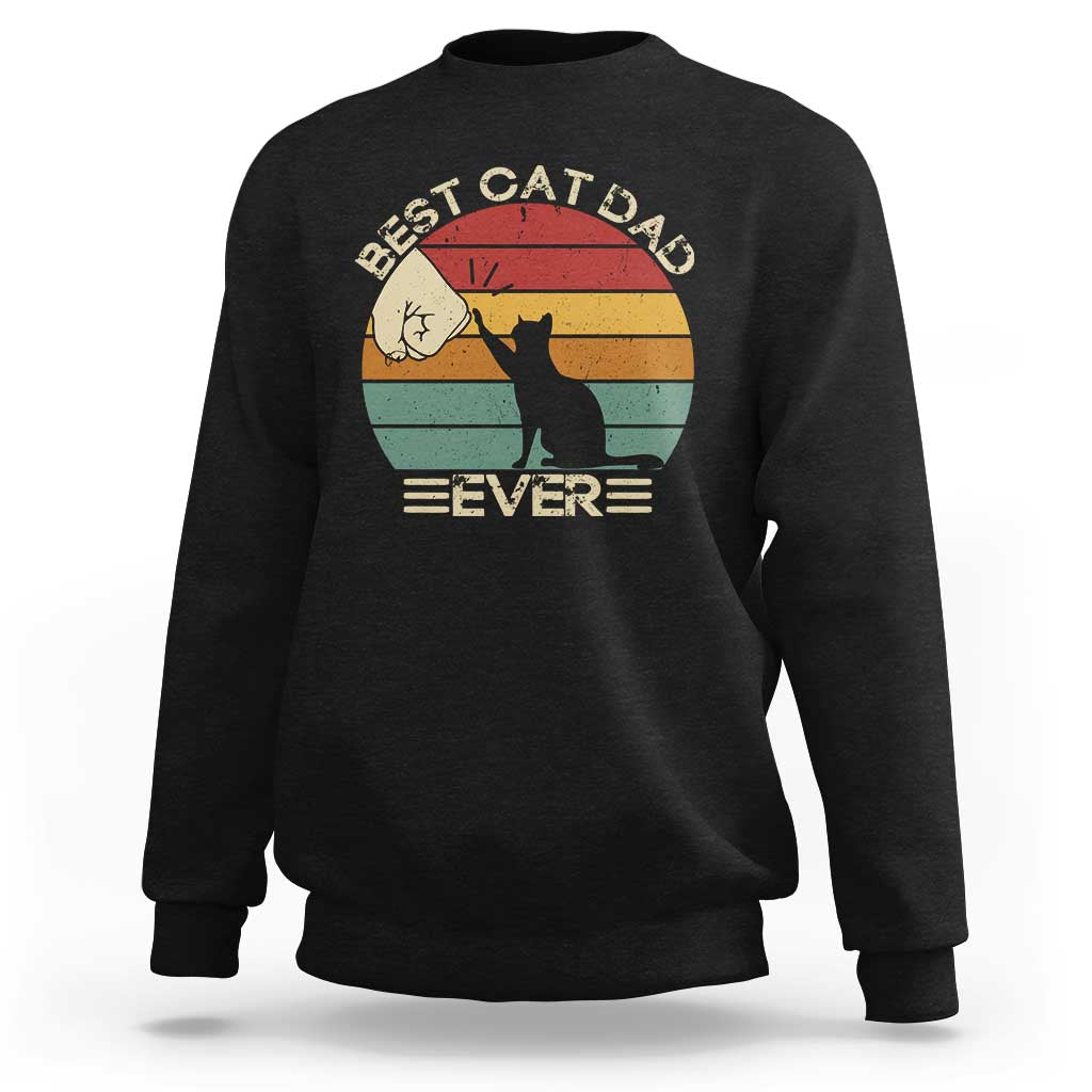 Best Cat Dad Ever Sweatshirt Funny Cat Lover Gift Fathers Day - Wonder Print Shop