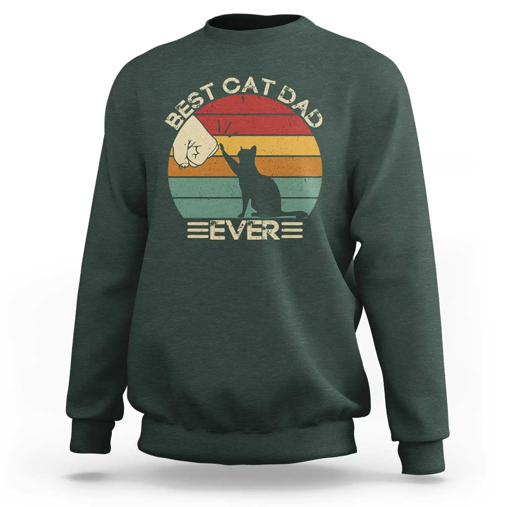 Best Cat Dad Ever Sweatshirt Funny Cat Lover Gift Fathers Day - Wonder Print Shop