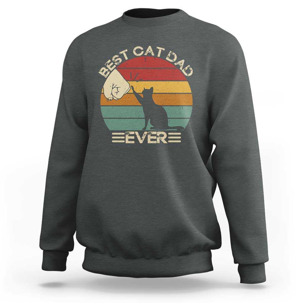 Best Cat Dad Ever Sweatshirt Funny Cat Lover Gift Fathers Day - Wonder Print Shop