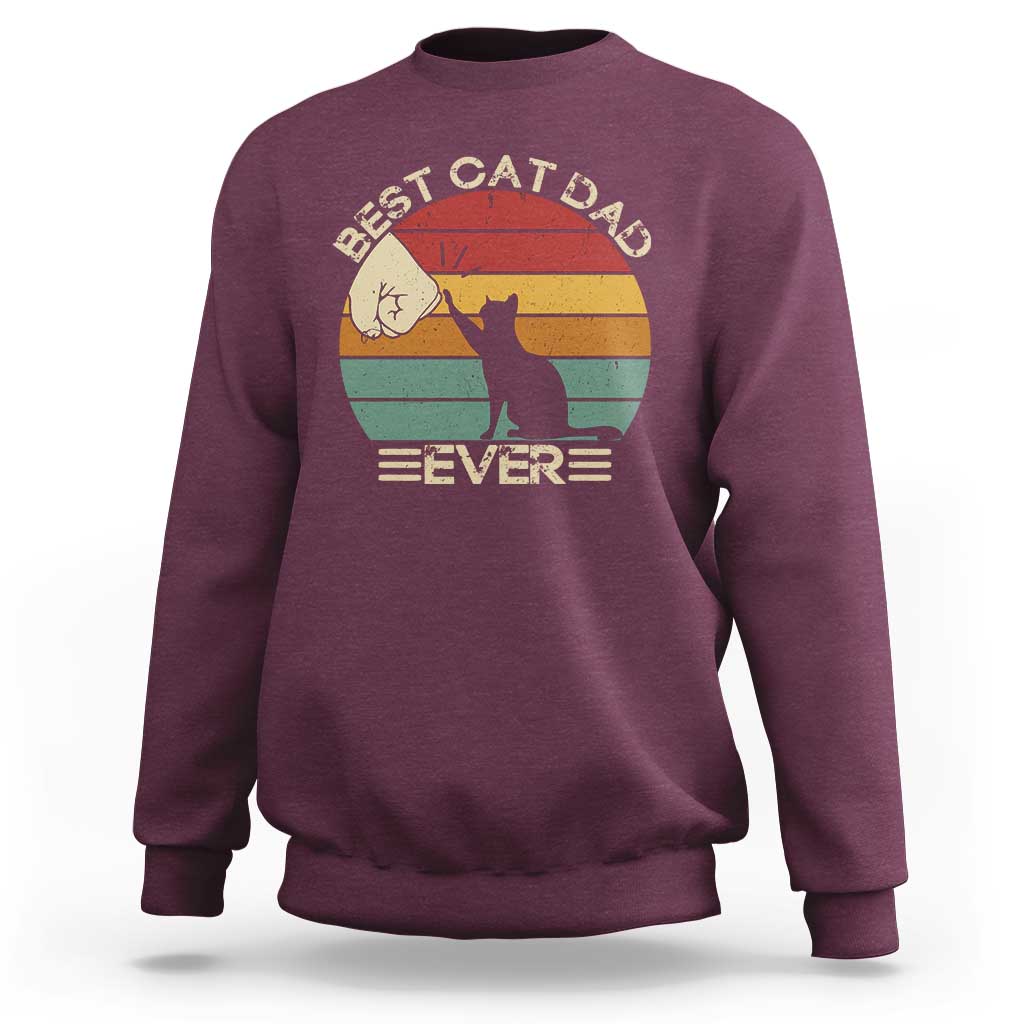 Best Cat Dad Ever Sweatshirt Funny Cat Lover Gift Fathers Day - Wonder Print Shop
