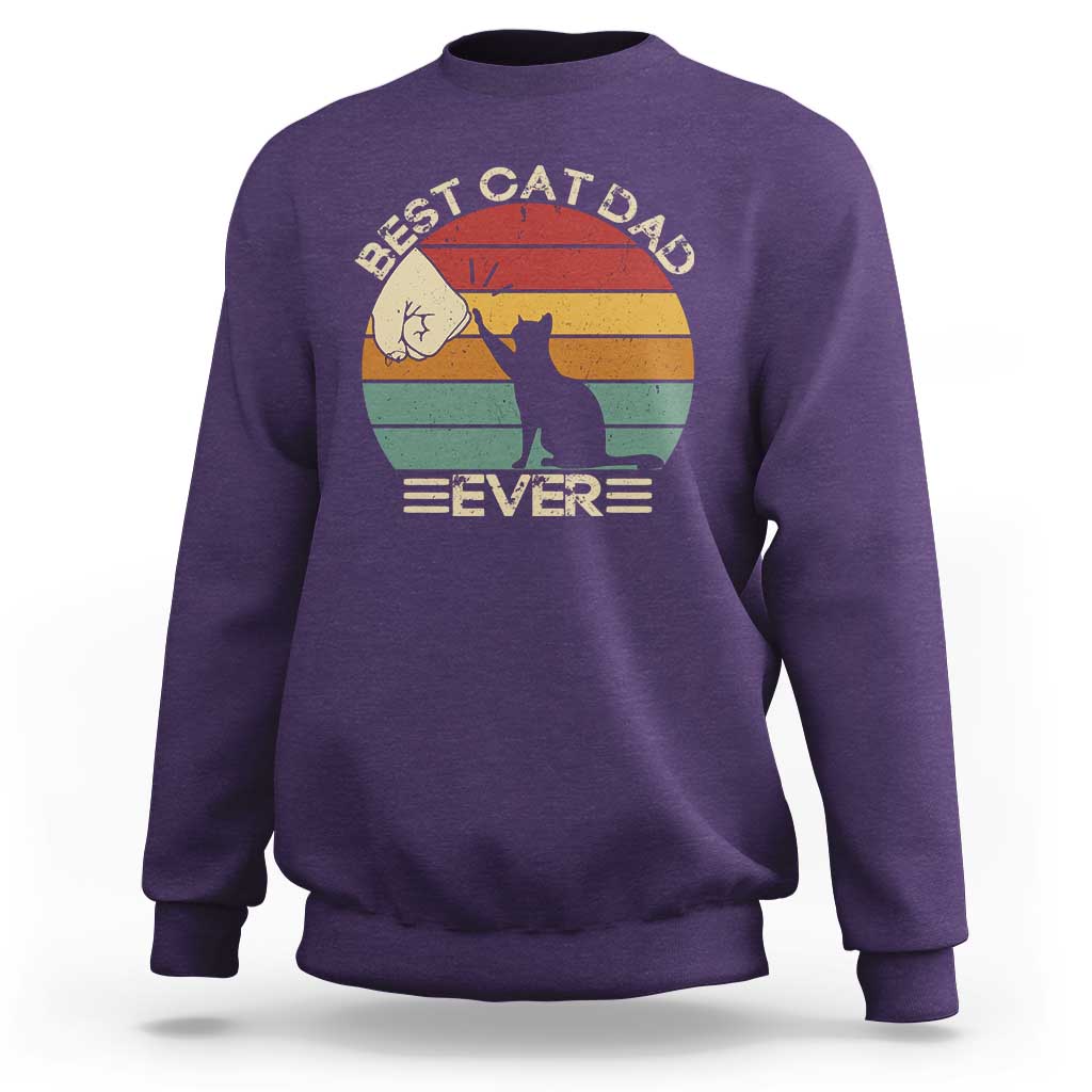 Best Cat Dad Ever Sweatshirt Funny Cat Lover Gift Fathers Day - Wonder Print Shop