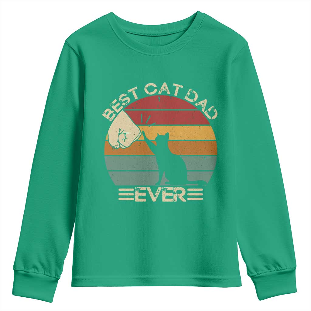 Best Cat Dad Ever Youth Sweatshirt Funny Cat Lover Gift Fathers Day - Wonder Print Shop