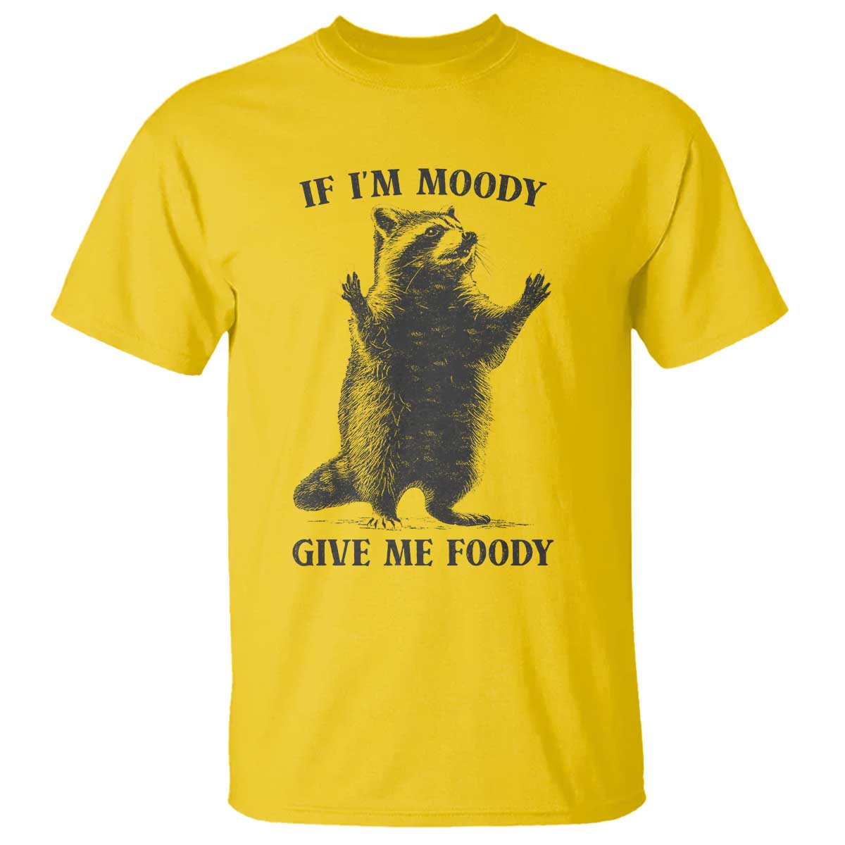 Raccoon Meme T Shirt If I'm Moody Give Me Foody Feral Gag Gift - Wonder Print Shop