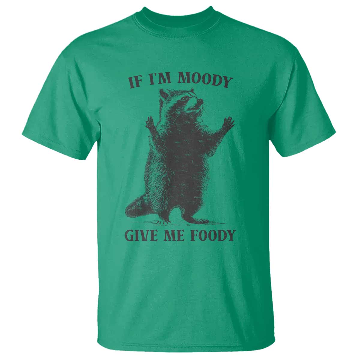 Raccoon Meme T Shirt If I'm Moody Give Me Foody Feral Gag Gift - Wonder Print Shop