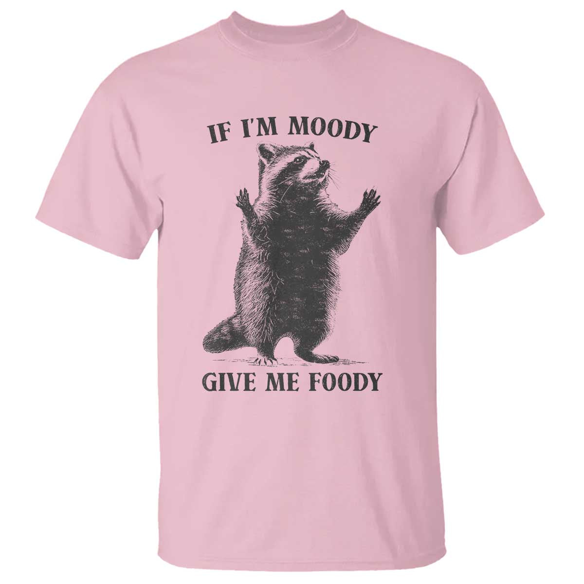 Raccoon Meme T Shirt If I'm Moody Give Me Foody Feral Gag Gift - Wonder Print Shop