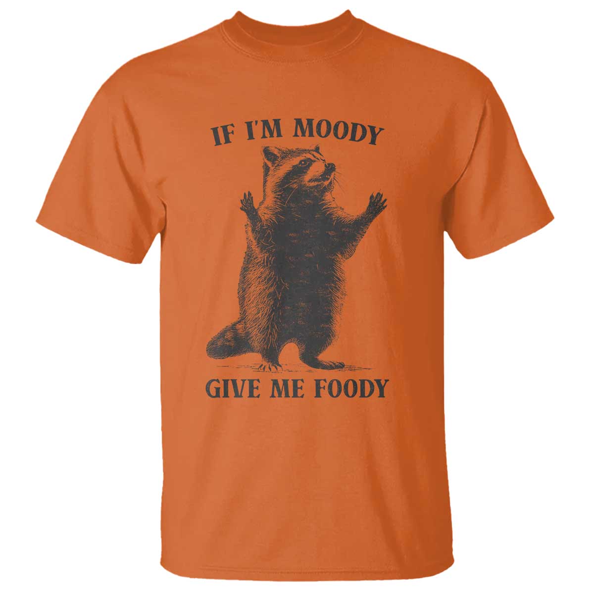 Raccoon Meme T Shirt If I'm Moody Give Me Foody Feral Gag Gift - Wonder Print Shop