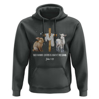 Easter Christian Hoodie Silly Rabbit Easter Is About The Lamb John 1:29