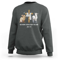 Easter Christian Sweatshirt Silly Rabbit Easter Is About The Lamb John 1:29