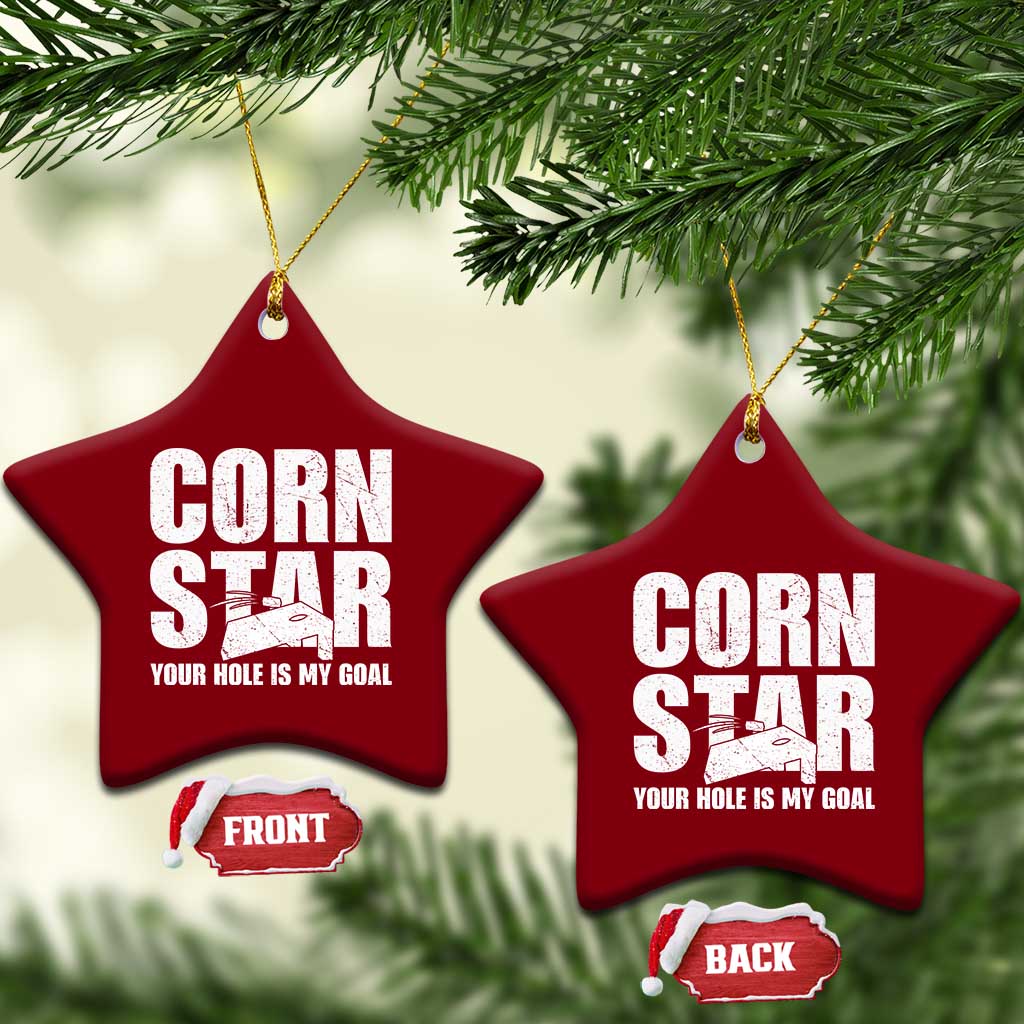 Inappropriate Cornhole Ceramic Ornament Funny Adult Humor Cornstar Your Hole Is My Goal