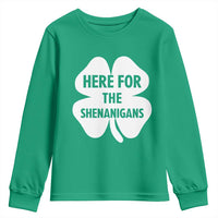 Funny Irish St Patricks Day Youth Sweatshirt Here for the Shenanigans