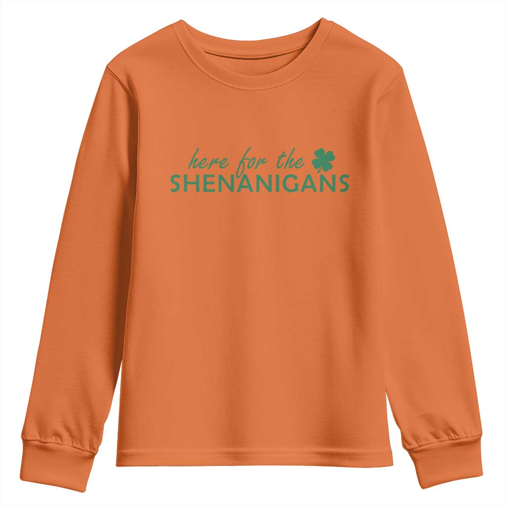Funny Irish St Patricks Day Youth Sweatshirt Here For The Shenanigan Shamrock