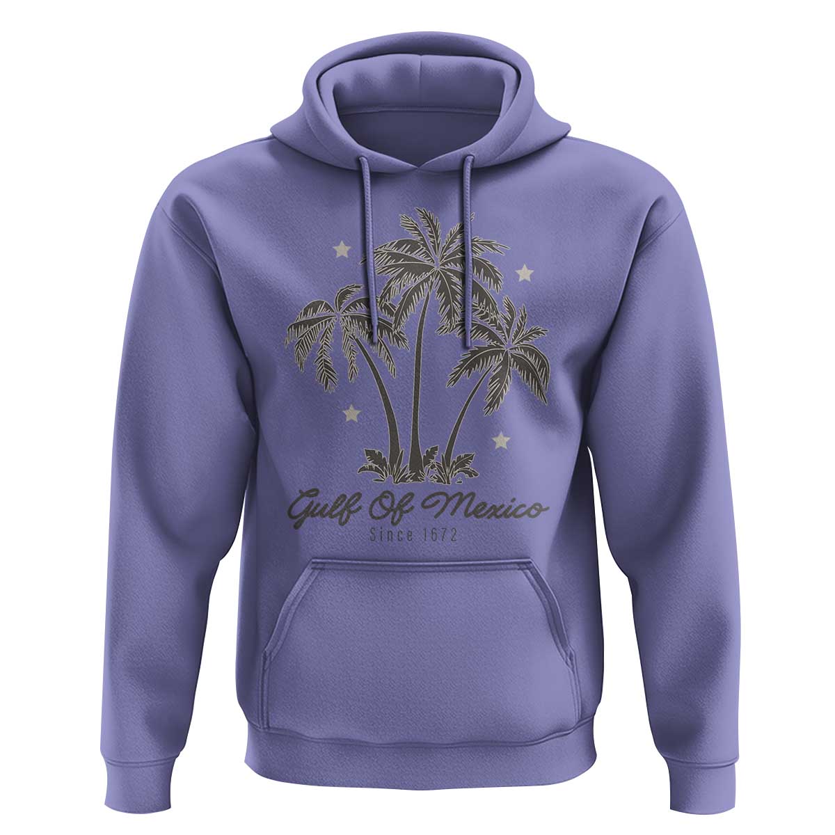 Gulf of Mexico Hoodie 1672 Retro Beach Vibe Palm Trees