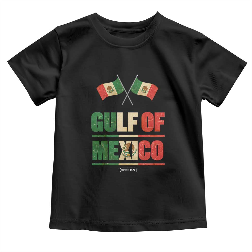 Gulf of Mexico Since 1672 Toddler T Shirt Mexican Flag