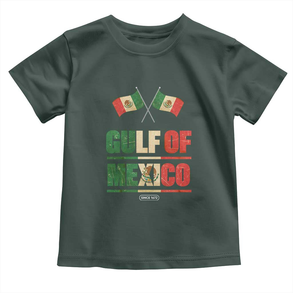 Gulf of Mexico Since 1672 Toddler T Shirt Mexican Flag