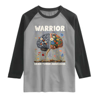 Brain Tumor Warrior Raglan Shirt Gray Ribbon Brain Cancer Awareness